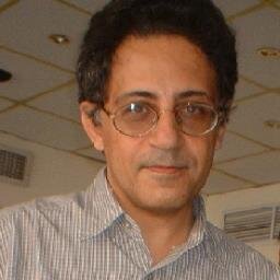 Prof at Cairo University