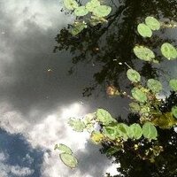 Dea van Lierop (@deavlierop) 's Twitter Profile