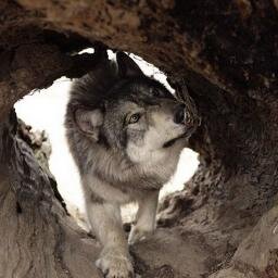 375445394424's profile picture. )))))))))))))