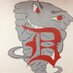 DoverWrestling (@dover_wrestling) Twitter profile photo