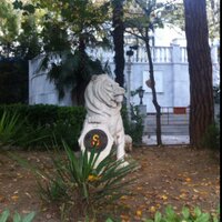 msg (@gsu_09) Twitter profile photo