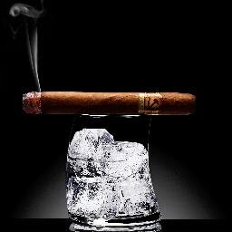 Lawyer, Father ,Sports fan, loves hockey,  golf and wellness. Director/Manager of several businesses involving import/export of alcohol and tobacco and branding