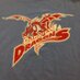 Donview Dragons (@donviewdragons) Twitter profile photo