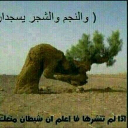 addaddadd88's profile picture. 