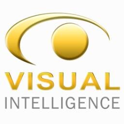 Visual Intelligence