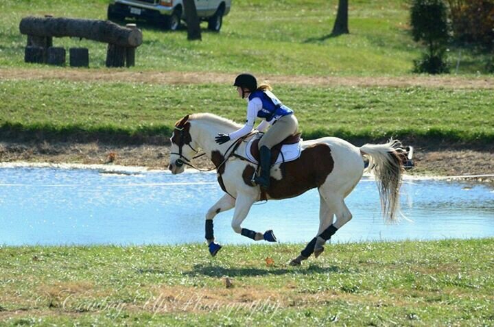 ~A horse can only be as brave as it's rider~