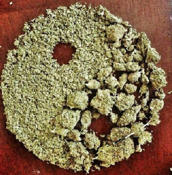 weed frees the mind. #TheFamily