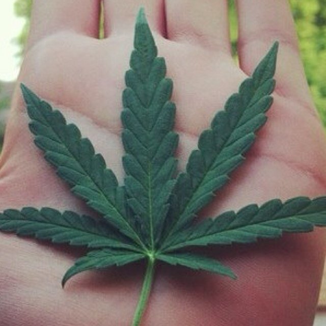 high in the sky.