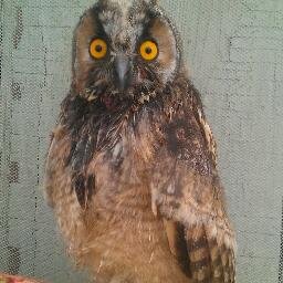 ViadislavCo's profile picture. 