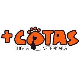 Clínica Veterinaria
Tlfno: 609132333