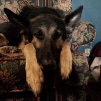 Ben (@bensaweikis) Twitter profile photo