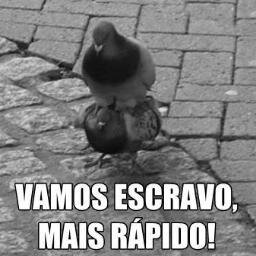 Falamos sobre tudo *-*  Segue ?