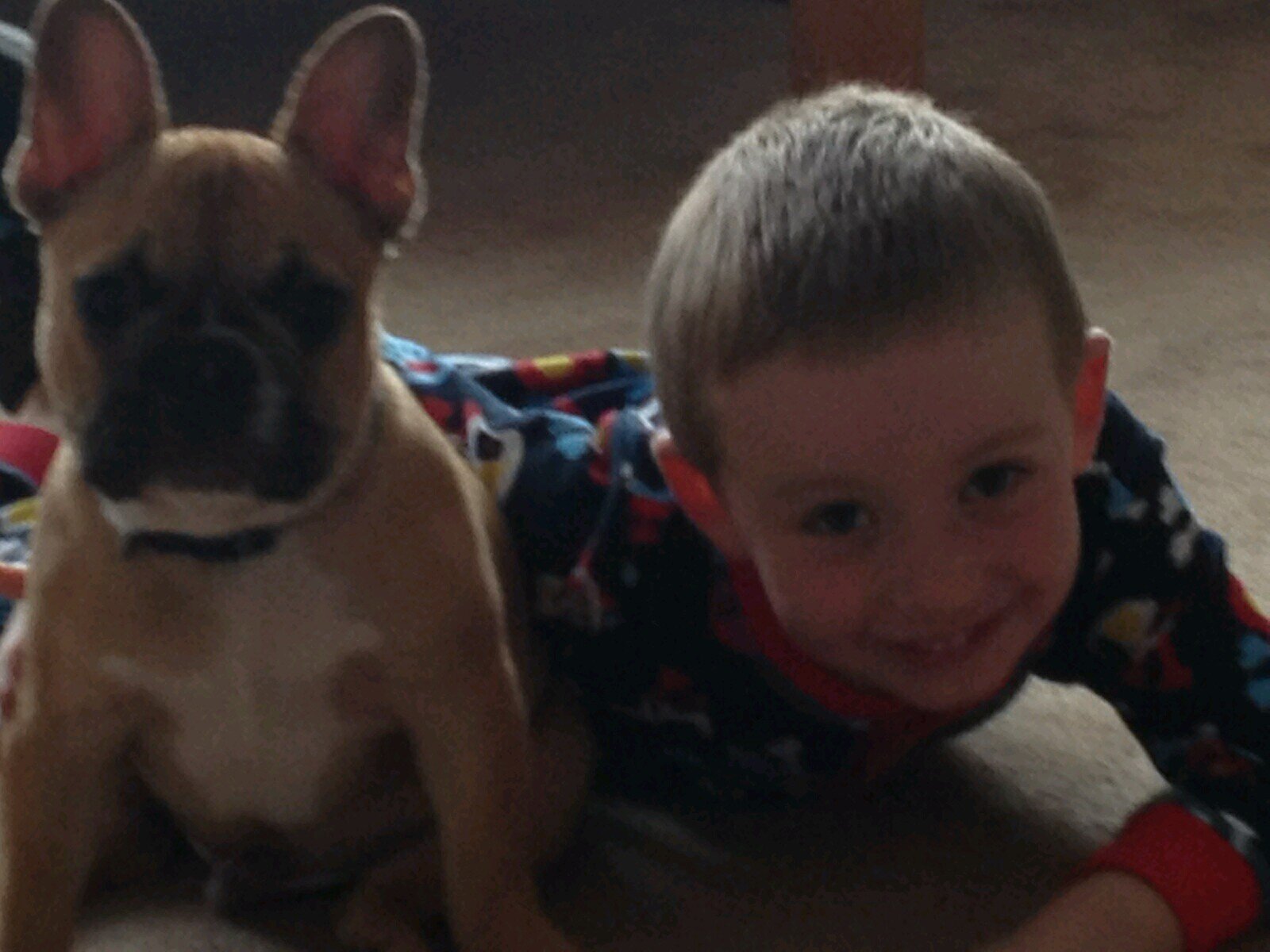 EvetteGould's profile picture. 