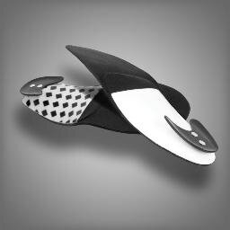 DynaFlange's profile picture. This Orthotic Changes Everything. Dynamic, Propulsive, Inspiring!
