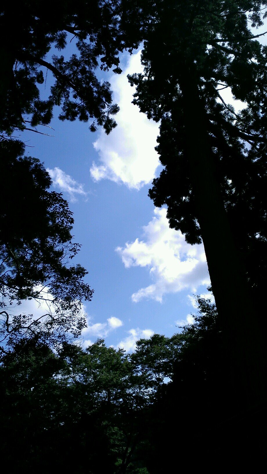 教える仕事に戻りました。
日々大変だけど楽しい毎日です！

好きなこと→
⭐旅行(47都道府県制覇済、お気に入りは京都・長崎・礼文島・五島列島・屋久島・別府・瀬戸内芸術祭)
⭐野球観戦(中日ドラゴンズ)
⭐音楽(スピッツ、ミスチルなど)
⭐カラオケ
⭐ドラマ
⭐美味しい食べ物
⭕無言フォロー歓迎
❌勧誘・営業