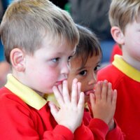 St David's Primary (@st_davids_rcp) Twitter profile photo