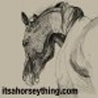 itsahorseything (@tweethorsey) 's Twitter Profile