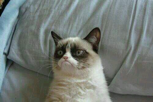 Hola, sigueme y te sigo, gracias.
