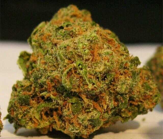 redfalcon890's profile picture. fallen from grace...loves to smoke lots of weed .....gets Shit done not a miracle worker