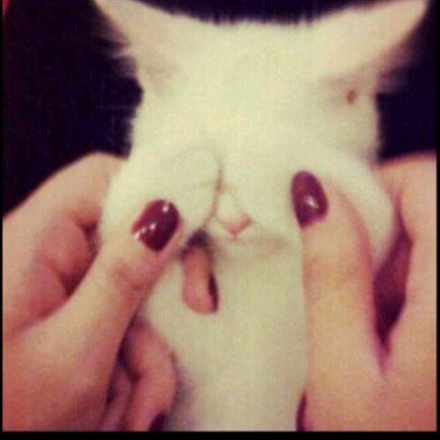 آنيقه بطريقه ملفته وخجوله هادئهـ امـآمـ آلناس مزعجـهـ آمـآم منن آحب وخلف الازعاااج عناد غريب انا امرأه بمفاهيم مختلفهةة ♥♥*'