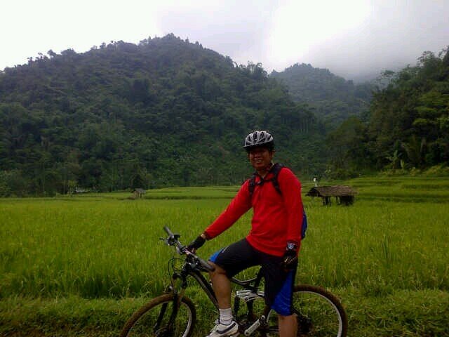 bangAli_MH's profile picture. 