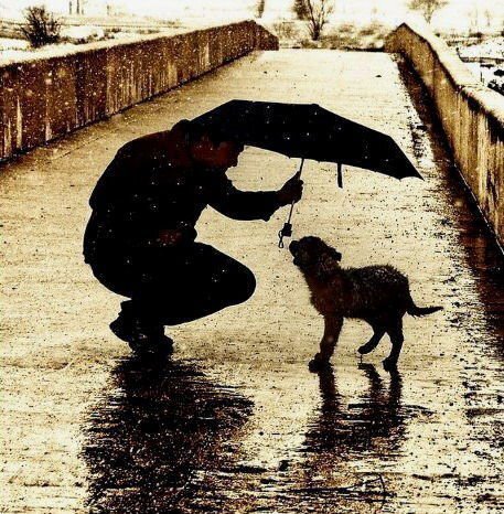 Good always wins.