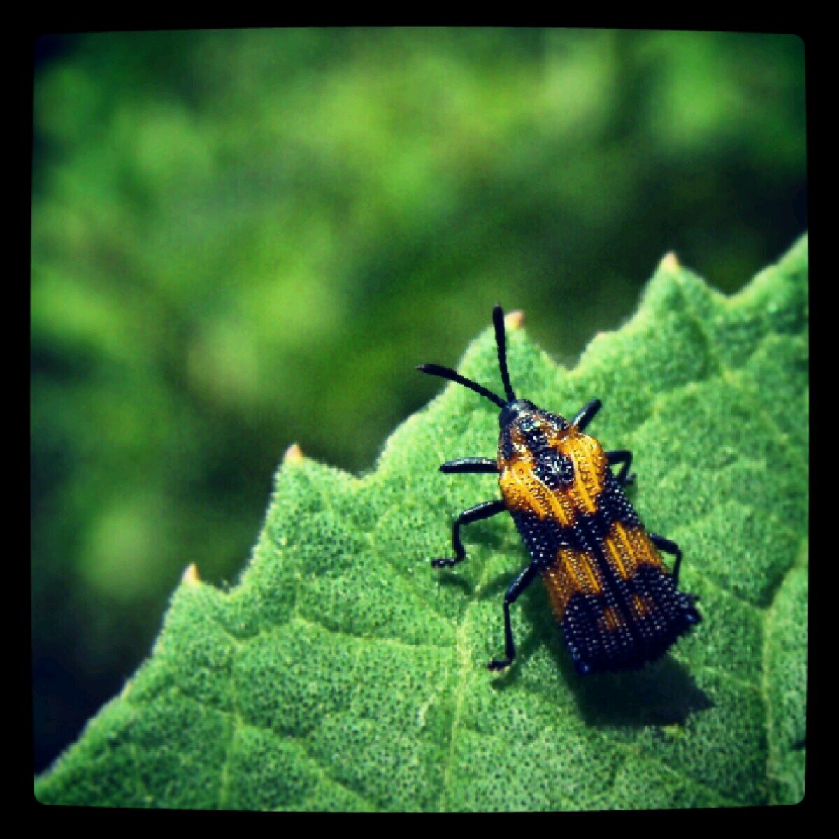 michelpasolius's profile picture. 