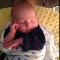 Preston Brickner (@pbrickner) 's Twitter Profile
