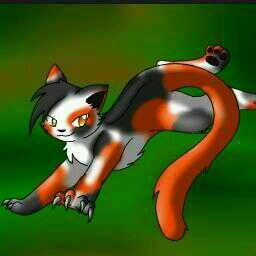 Im a she-Cat and my name is Rowanfur!!(im @WarriorCat85 kit)