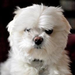 MidnightInEtown's profile picture. Avid reader, travel enthusiast, music lover, budding photographer. Sometimes I like to write.