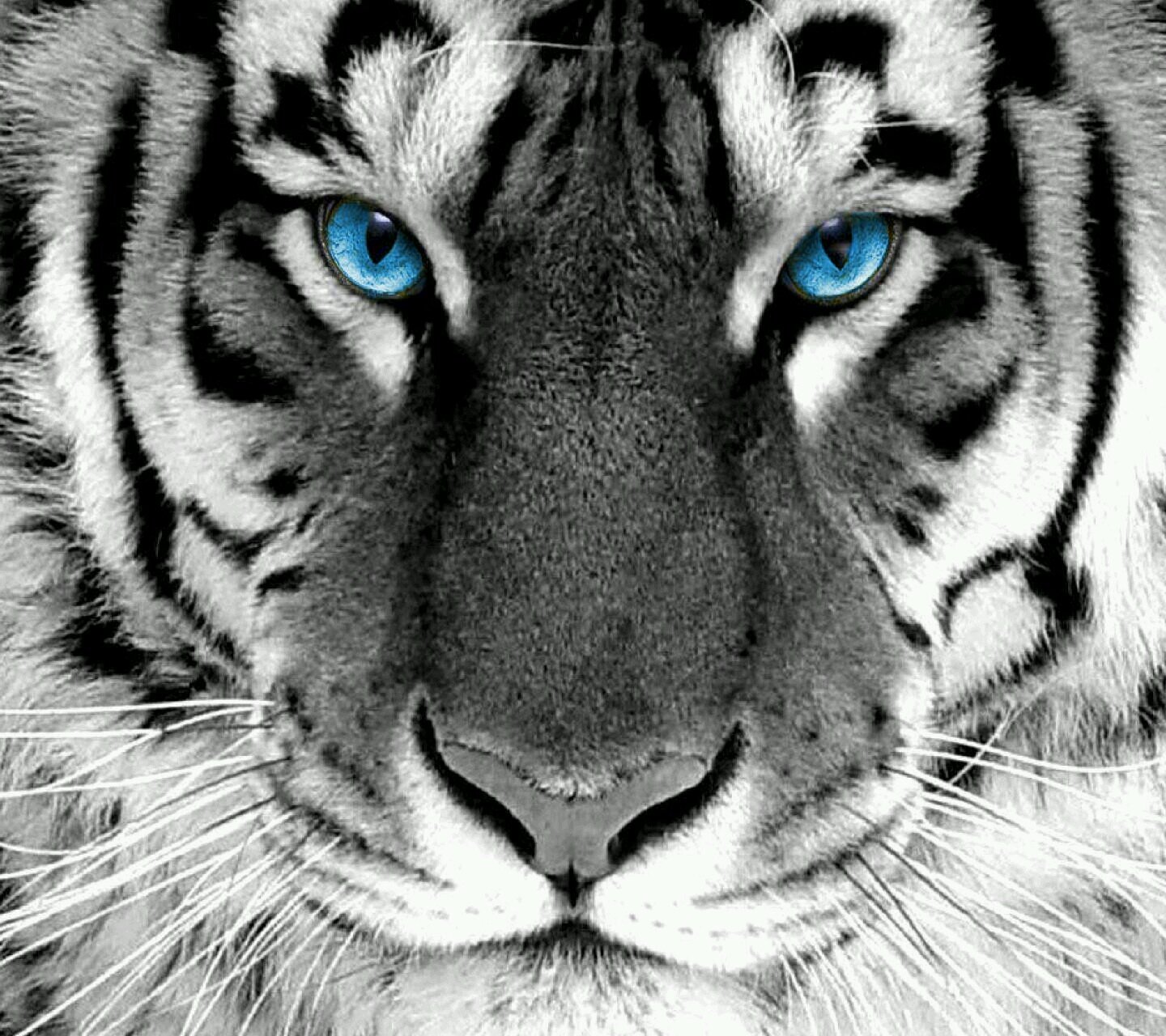 KTarre's profile picture. 