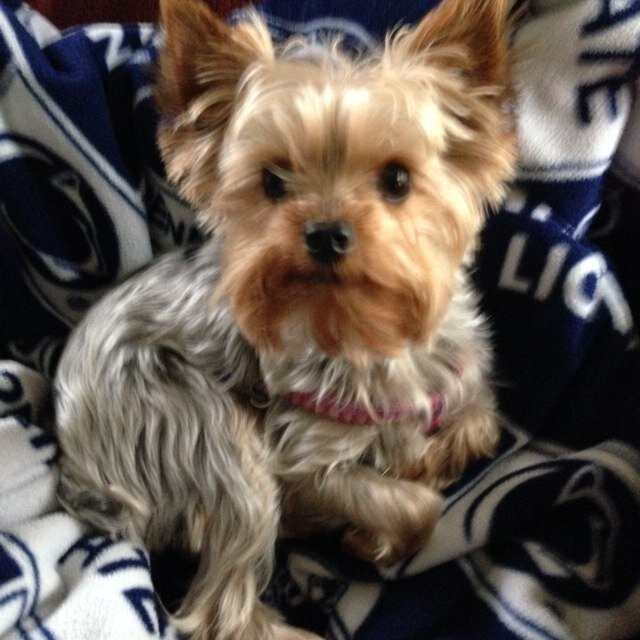 JulieMjhassan's profile picture. 