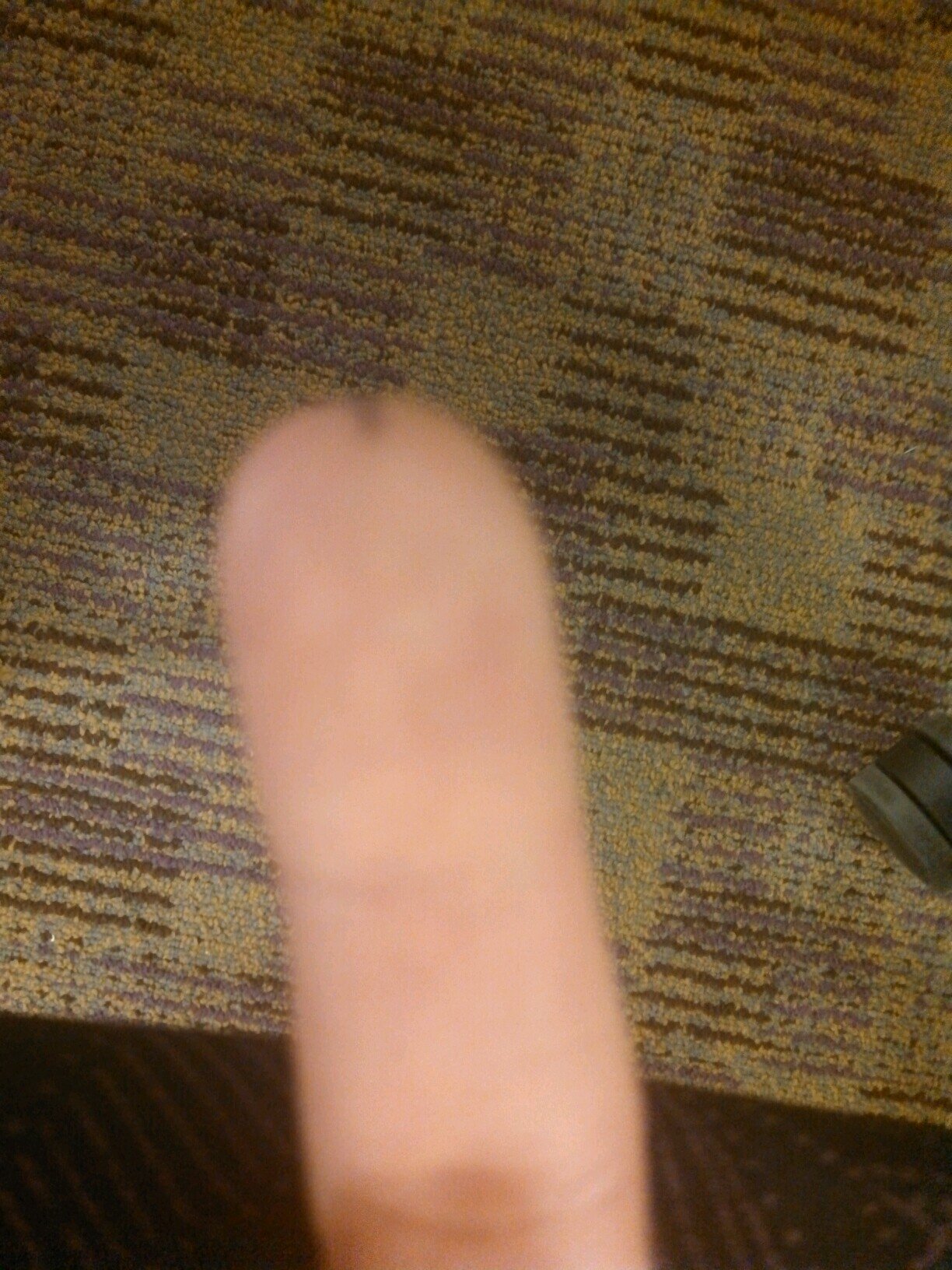I guess email those penises to tweet to ecupenis@gmail.com