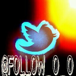 #TeamFollowBack #TFBJP #TFB #90sBabyFollowTrain #SiguemeYTesigo #RT #GainFollowers #FollowBackSeguro