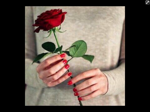 رَبي آجعل حيـآتنآ آجمل منَ كلَ التوقعآتَ.'♡