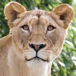 The Only Zoo Where You Don't Have To Pay For Admission...Follow & Enjoy...