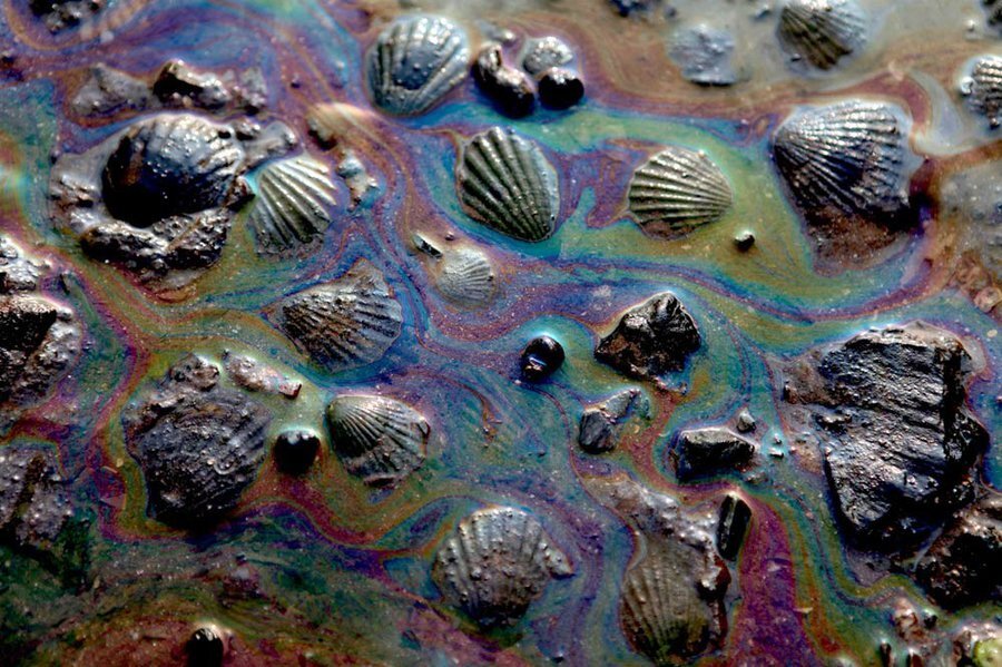 EnviroDisasters's profile picture. Tweeting on the most recent environmental disasters. Let me know if you discover any.