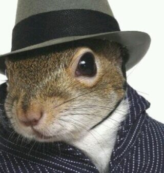 We run this campus like JayZ

OG Squirrel