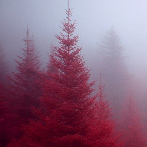 lalalagerol's profile picture. Каждый день - пытка