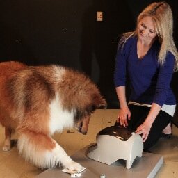 kris_macpherson's profile picture. PhD student studying Dog Cognition at Western University, Canada