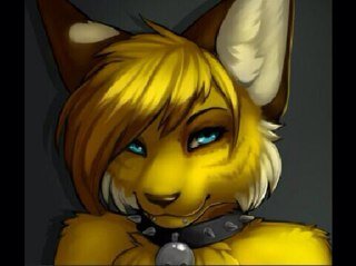 A little creeper who sneaks up and scares people randomly . -sleeps under the bed - Zzzzzzzz my boyfriend @argorex