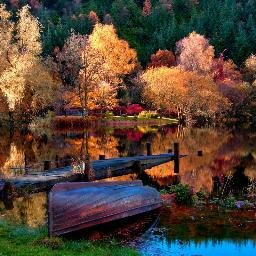 mattev44's profile picture. 