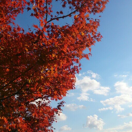 moguko9191's profile picture. 神戸を中心に、食べたものを呟きます。 美容もちょっと。