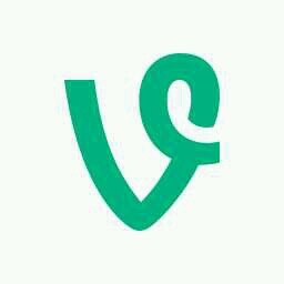send your vine