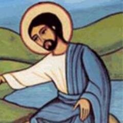 puramierdasinco's profile picture. 