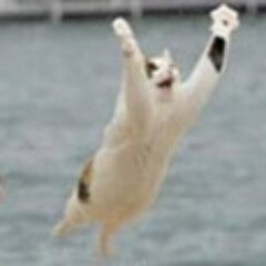 Technology at TenTenTen; Fantasizer. Loud and gregarious. Prone to bouts of technical insanity. Or insane technicality. http://t.co/U6NnhjmeCB