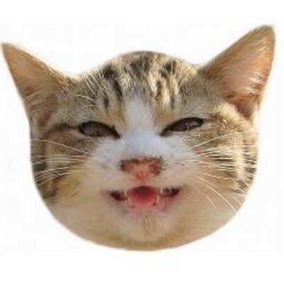 noriのプロフィール写真