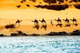 ‏في البر والبحر