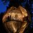 Little65Wayne's profile image