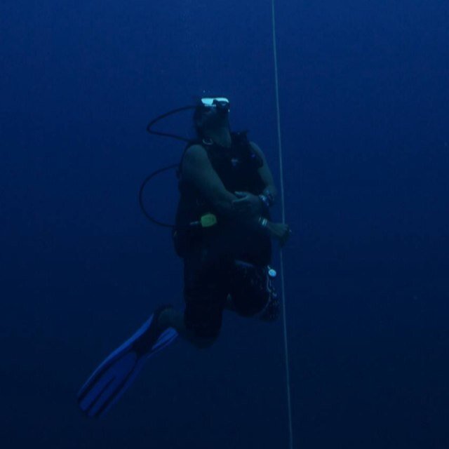 University of Hawaii at Manoa Marine Biologist CEO-Azure Marine Research Little Cayman Research Centre (LCRC) is on the north side of Little Cayman island.